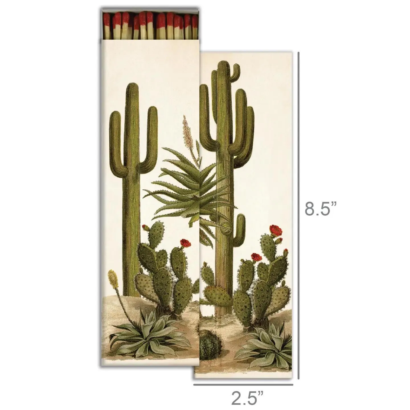 TALL CACTI MATCHES
